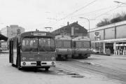 Buslinie M in Zollikofen