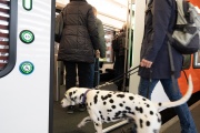 Frau mit Hund steigt in den neuen RBS-Zug Worbla