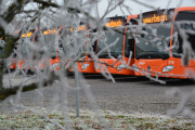 Busflotte hinter gefrorenen Baumästen