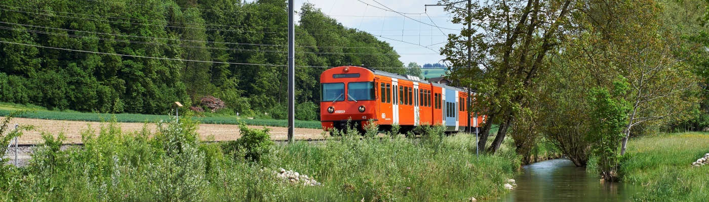 Mandarinli fährt neben Worble