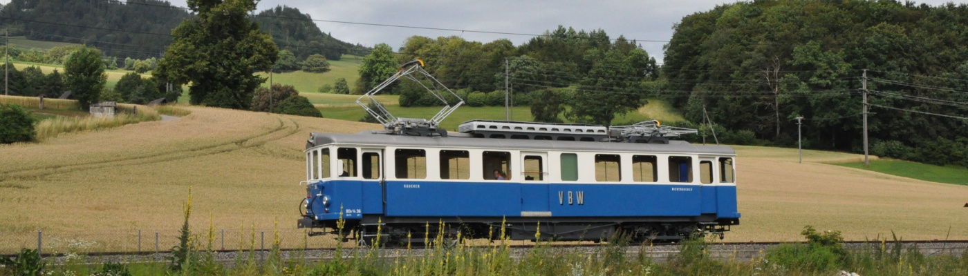 Fahrzeug-Show