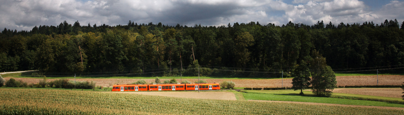 NExT im Hambühlwald