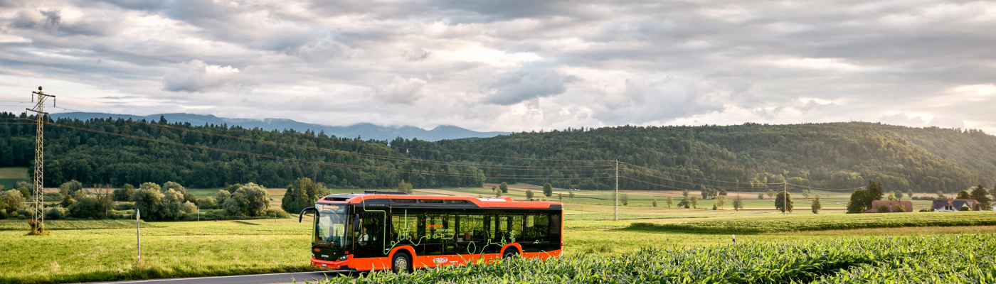 Symolbild-Bus