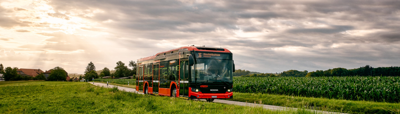 Symolbild-Bus