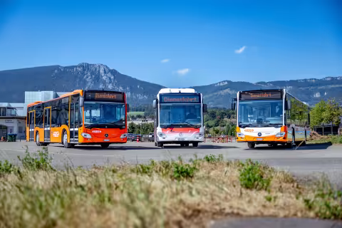 Symbolbild-RBS-BSGU-Busse