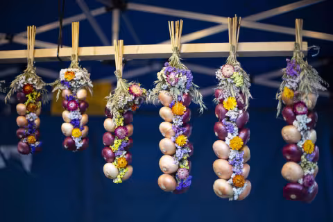 Ziebelewoche © Bern Welcome