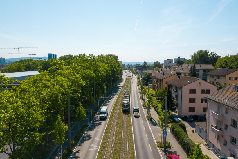 Grüngleisanlage bei der Limmattalbahn