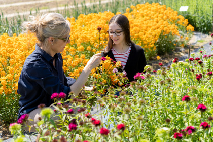 Mutter und Tochter im Blumenfeld